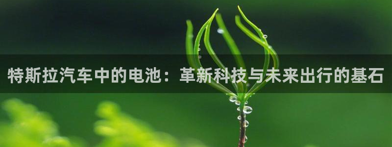 优发国际平台app下载苹果版