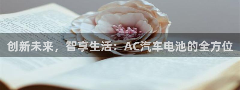 优发国际登录k8：创新未来，智享生活：AC汽车电池的全方位