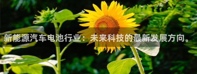 优发国际注册平台官网：新能源汽车电池行业：未来科技的最新发展方向。