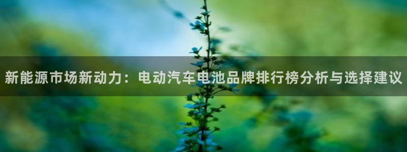 优发国际手机版客户端：新能源市场新动力：电动汽车电池品牌排行榜分析与选择建议