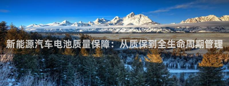 优发国际平台u8是什么公司