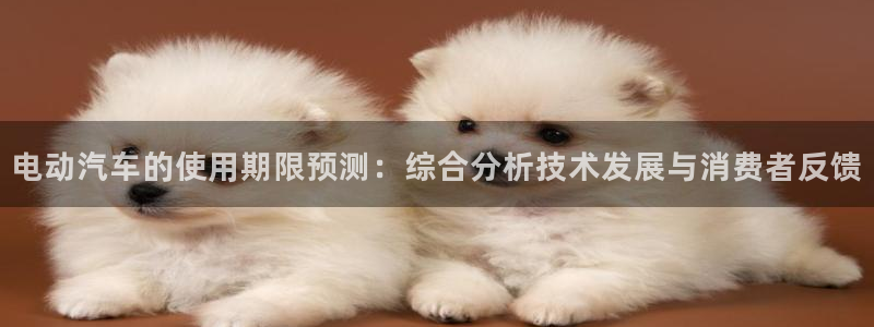 优发国际软件下载官网：电动汽车的使用期限预测：综合分析技术发展与消费者反馈