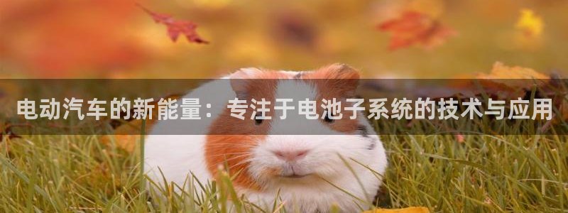 优发娱乐官网app下载