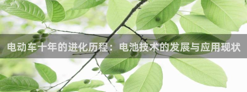 优发国际登陆u