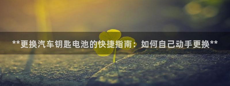 优发国际游戏官方网站入口