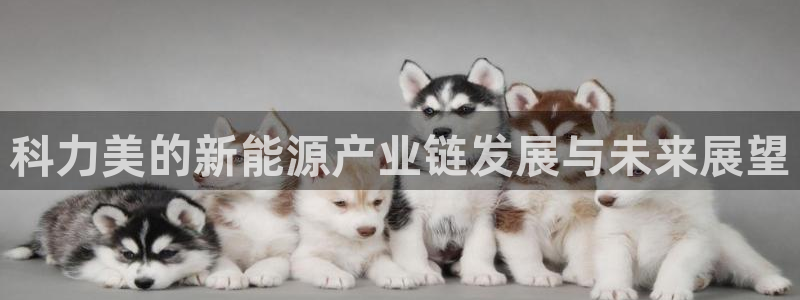 优发国际官网登录