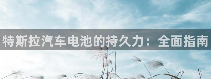 优发国际官网网站登录：特斯拉汽车电池的持久力：全面指南