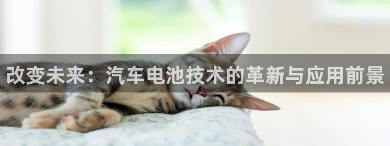 优发国际官方下载app：改变未来：汽车电池技术的革新与应用前景