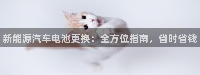 优发国际官网网站登录：新能源汽车电池更换：全方位指南，省时省钱