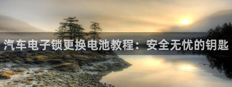 优发国际登录首页怎么设置：汽车电子锁更换电池教程：安全无忧的钥匙