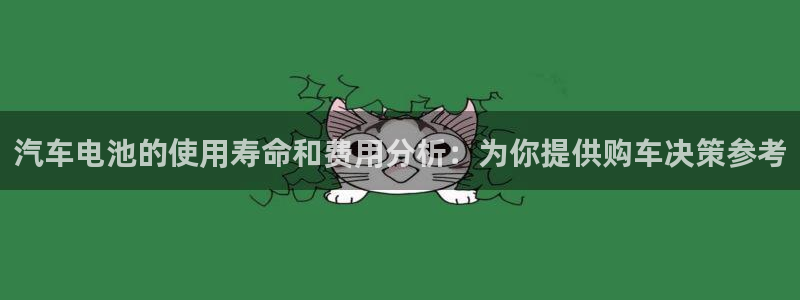 优发国际是什么：汽车电池的使用寿命和费用