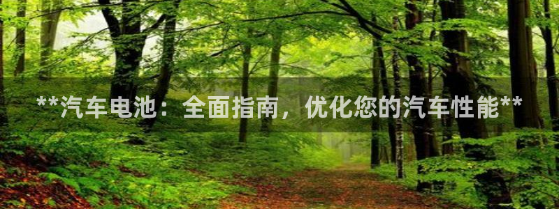 优发国际官网下载手机版：**汽车电池：全面指南，优化您的汽车性能**