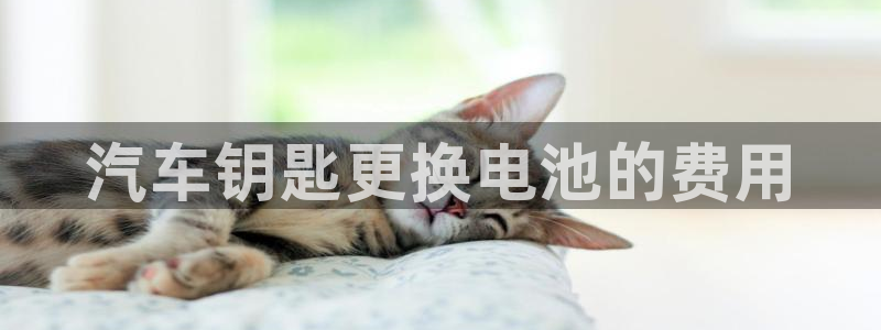 优发国际官网入口app下载安装