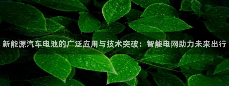 优发国际是合法的吗：新能源汽车电池的广泛应用与技术突破：智能电网助力未来出行