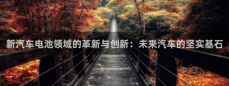 优发国际平台18岁能做吗：新汽车电池领域