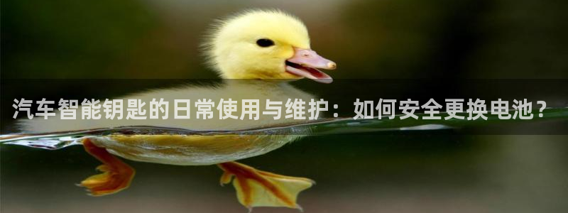 优发国际官网下载苹果版：汽车智能钥匙的日